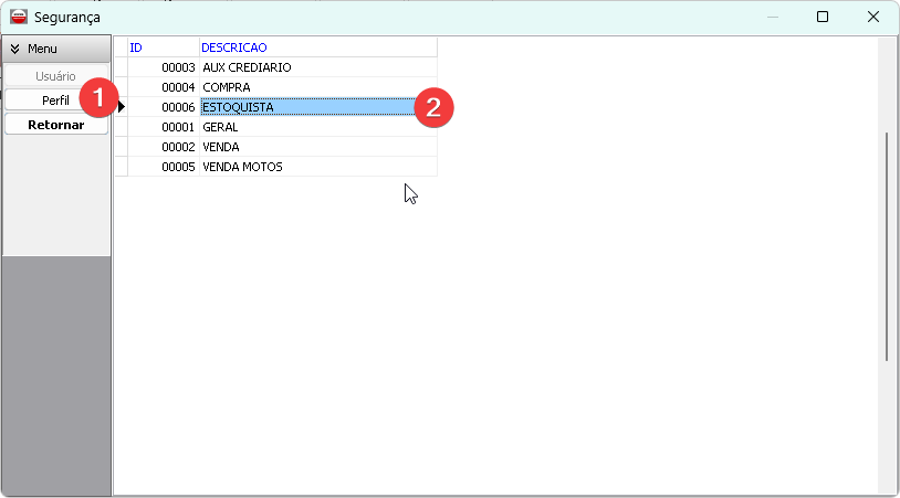 Selecionando Perfil Estoquista
